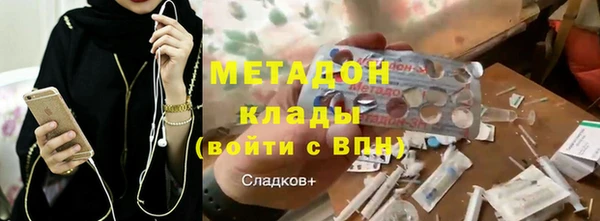 индика Арсеньев