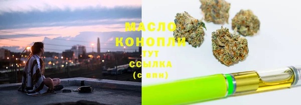 индика Арсеньев