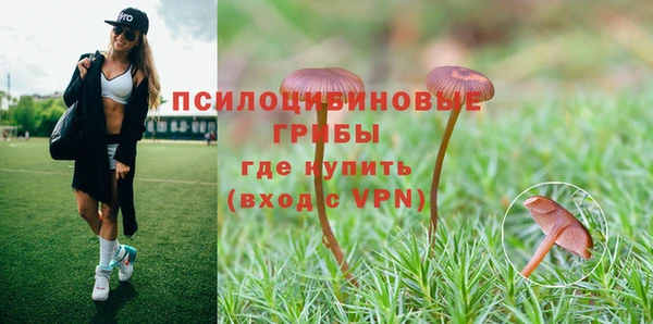 МДПВ Аркадак