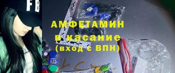 индика Арсеньев