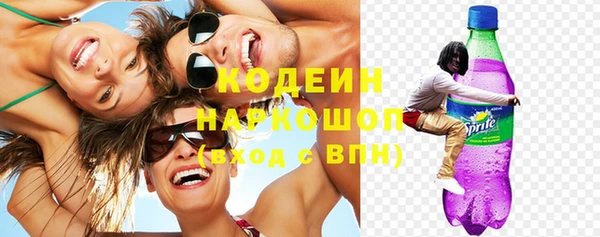 индика Арсеньев