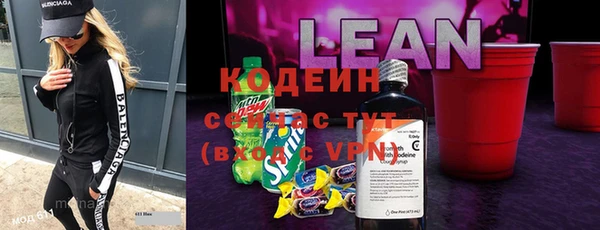 индика Арсеньев