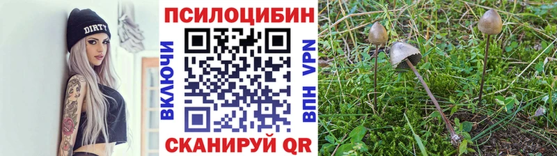 OMG маркетплейс  купить   Саки  Псилоцибиновые грибы ЛСД 
